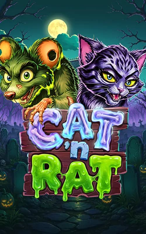 Cat n Rat