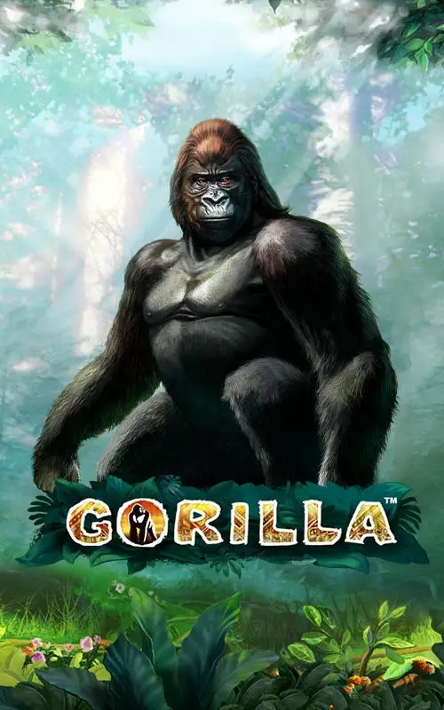 Gorilla